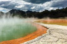 Rotorua Highlights Tour from Auckland with Optional Extras