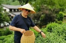 Hangzhou West Lake and Tea Plantation Half Day Tour