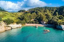 Cathedral Cove, Hot Water Beach & Coromandel Small-Group tour