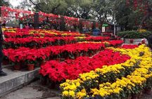 7-Hour Customised Private Guangzhou Sightseeing and Shopping Tour