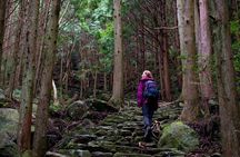 Kumano Kodo Pilgrimage Full-Day Private Trip with Government Licensed Guide