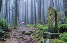 Kumano Kodo Pilgrimage Full-Day Private Trip with Government Licensed Guide