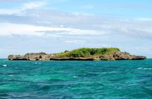 Boracay Island Hopping + Hot Kawa + Parasailing + Helmet Diving 