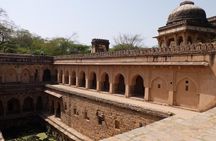 Delhi Mehrauli Archaeological Park Half Day Walking Tour