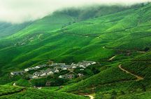 Kolukkumalai Trekking with Night stay in Tent 