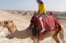 4WD St. George's Monastery Jordan Baptize Dead Sea adventure tour