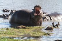 Okavango delta - Chobe Adventure 7 Nights/8 Days