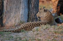 Okavango delta - Chobe Adventure 7 Nights/8 Days