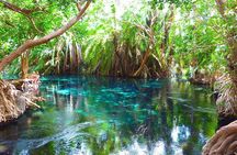 Kikuletwa Chemka Hot Spring Day Tour from Arusha