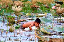 Tonle Sap Lake & Kampong Phluk Village Half-Day Tour