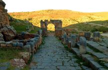 "Tiddis' Best" Tour by Fancyellow