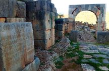 "Tiddis' Best" Tour by Fancyellow