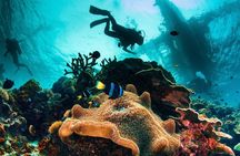 Try and Discover scuba diving