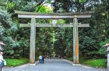 Tokyo Private Day Trip - Enjoy Your First-Time Visit to Tokyo!