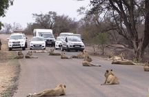Nairobi National Park, Giraffe center & Beads Factory Guided Day Tour