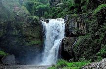 Private Chartered Car to Ubud and Uluwatu With Traditional Dances