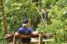Coffee Tour Experience from Arusha