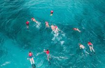 Culebra Snorkel with Turtles & Flamenco Beach Adventure by Ferry