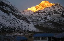 Annapurna base camp trek