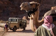 Two-Hour Jeep Safari "Wadi Rum Highlights!" w/ Professional Guide