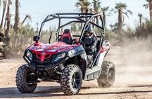 Excursion buggy marrakech