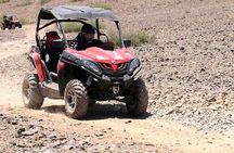 Excursion buggy marrakech