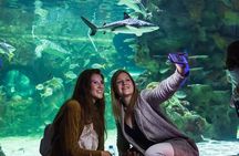 SEA LIFE Brighton Admission Ticket