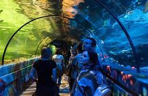 SEA LIFE Brighton Admission Ticket