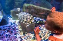 SEA LIFE Brighton Admission Ticket