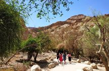 4WD Masada Ein Gedi Judea desert Dead Sea adventure 4x4 Tour.