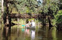 Cypress Forest: Guided Nature Kayak Eco-Tour