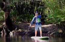 Cypress Forest: Guided Nature Kayak Eco-Tour