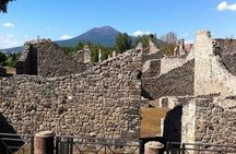 Pompeii and Vesuvius Experience from Naples - Skip the line -
