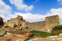 Day Tour Desert Castles & Azraq Wetland Reserve