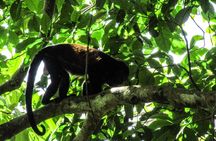 Kayaking Tour Chiriqui