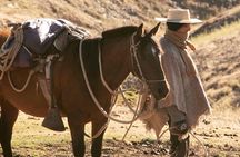Authentic horseback ride with Chilean Cowboys in the Andes close to Santiago!