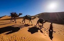 Shared 3 Day Desert Safari Experience tour from Marrakech to Merzouga