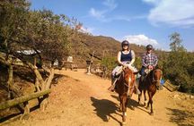 Authentic horseback ride with Chilean Cowboys in the Andes close to Santiago!