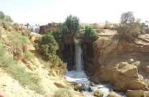 Private day tour El Fayoum ,and Valley of Whales with safari 