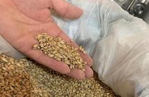 The Official Craft Beer Tour of Costa Rica