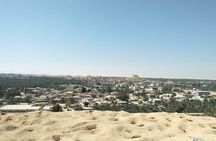 Siwa and El Alamein private tour