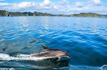 Bay of Islands 2-Day Tour & Cruise from Auckland (hotel included)