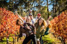 Margaret River Winery, Brewery Tour with Gourmet Brewery Lunch