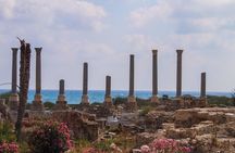 Small-Group Tour to Sidon, Tyre and Maghdouche with Lunch and Tickets