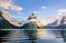 Premium Milford Sound Tour, Cruise & Lunch from Te Anau