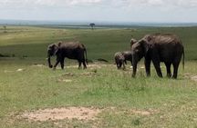 Amazing 9 Days Kenya and Tanzania Budget Safari