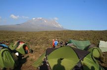 5 Days Marangu Hiking Walking Tour to Kilimanjaro Summit