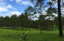 Kirirom National Park Private Day Tour from Phnom Penh