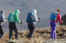 Day Trip Kilimanjaro Shira Plateau from Moshi
