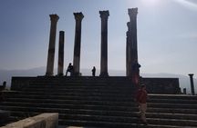 Excursion privée d’une journée à Meknes volubilis et Moulay Idris